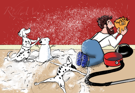 ‘A Quick Flurry’ A5 Greeting Card